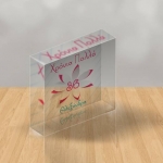 plexiglass3